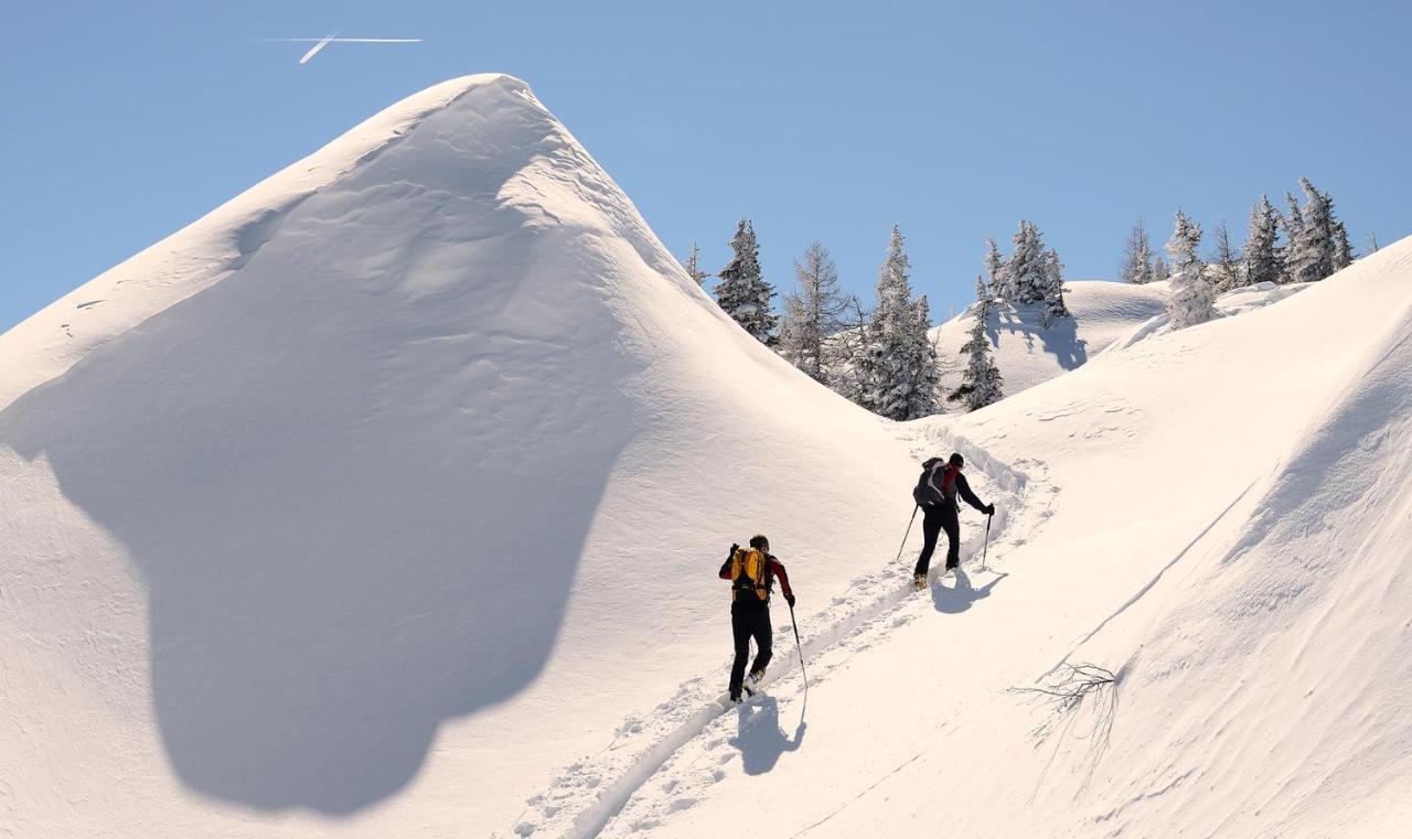 Naturhotel Huettenwirt Im Grossarltal Hüttschlag Exteriör bild