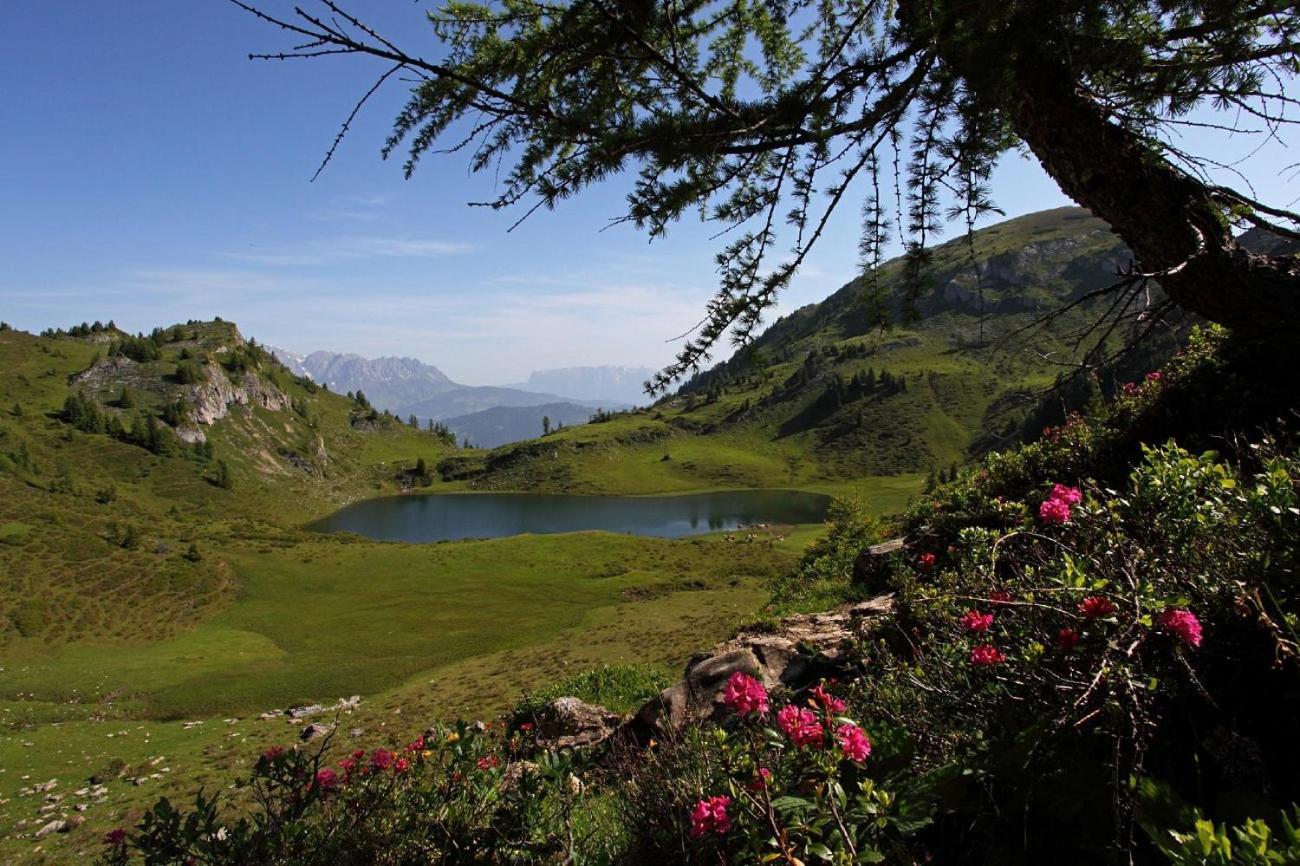 Naturhotel Huettenwirt Im Grossarltal Hüttschlag Exteriör bild